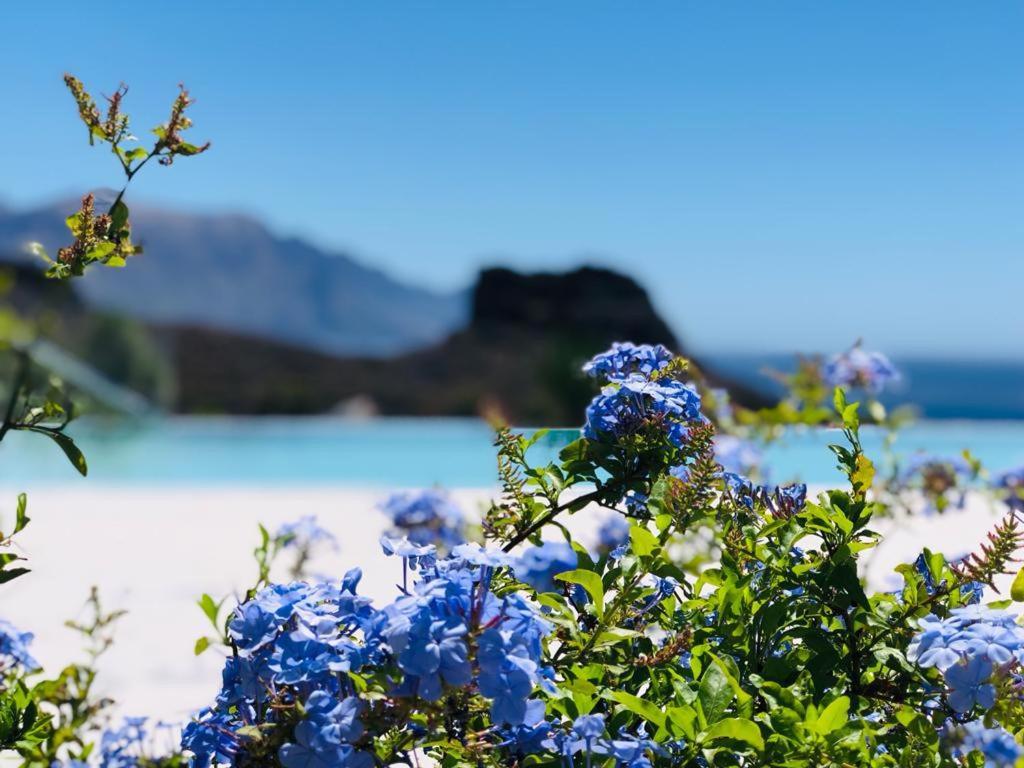 Paraisos De Agaete Puerto de Las Nieves Ngoại thất bức ảnh